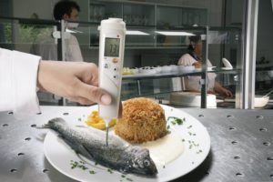 Temperaturmåling med innstikkføler i fisk